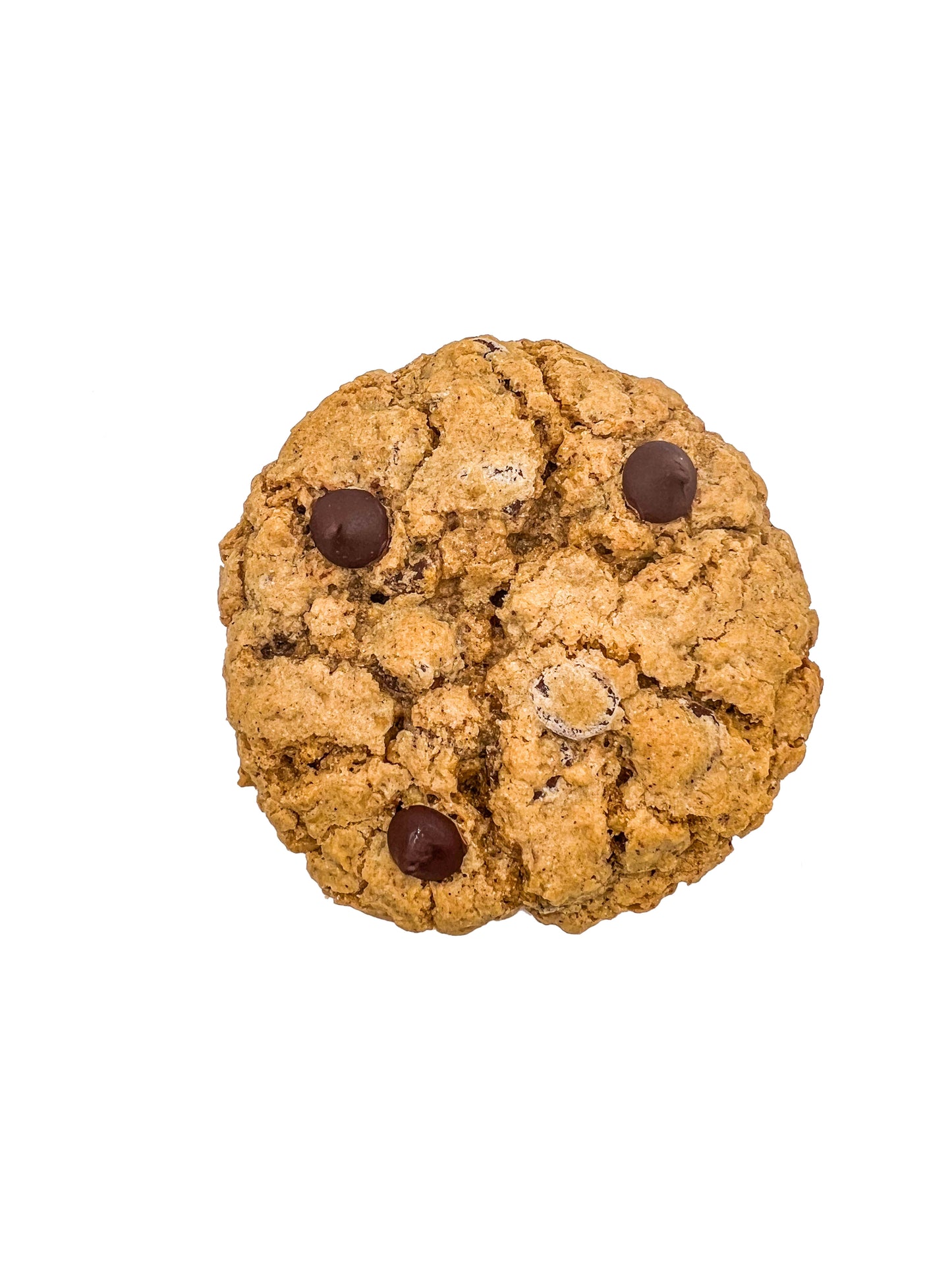 Oatmeal Chocolate Chip Cookie