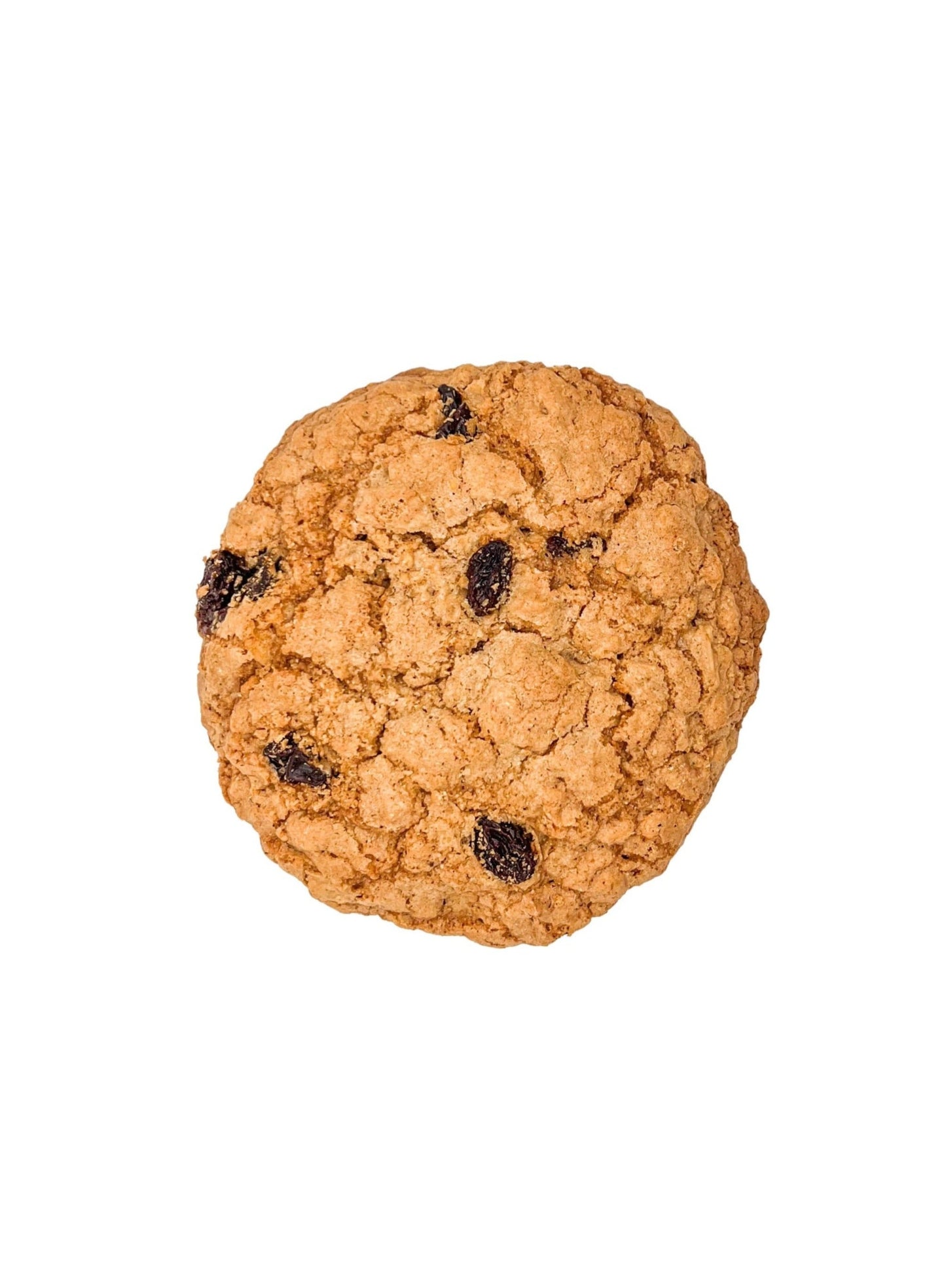 Oatmeal Raisin Cookie
