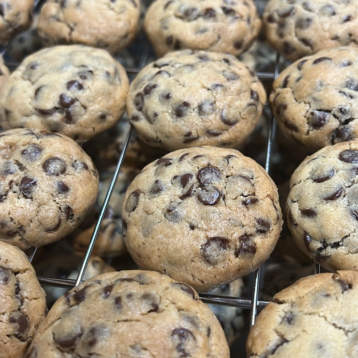 Traditional Chocolate Chip